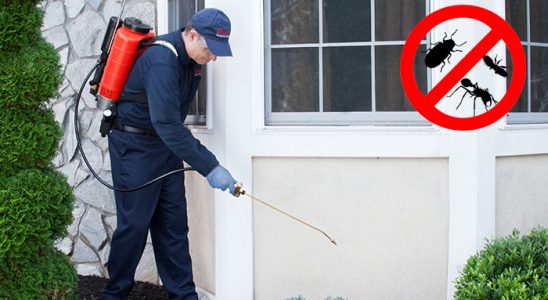 Başkale Dezenfeksiyon böcek ilaçlama ve haşere kontrolü — ilaclama-tr.com